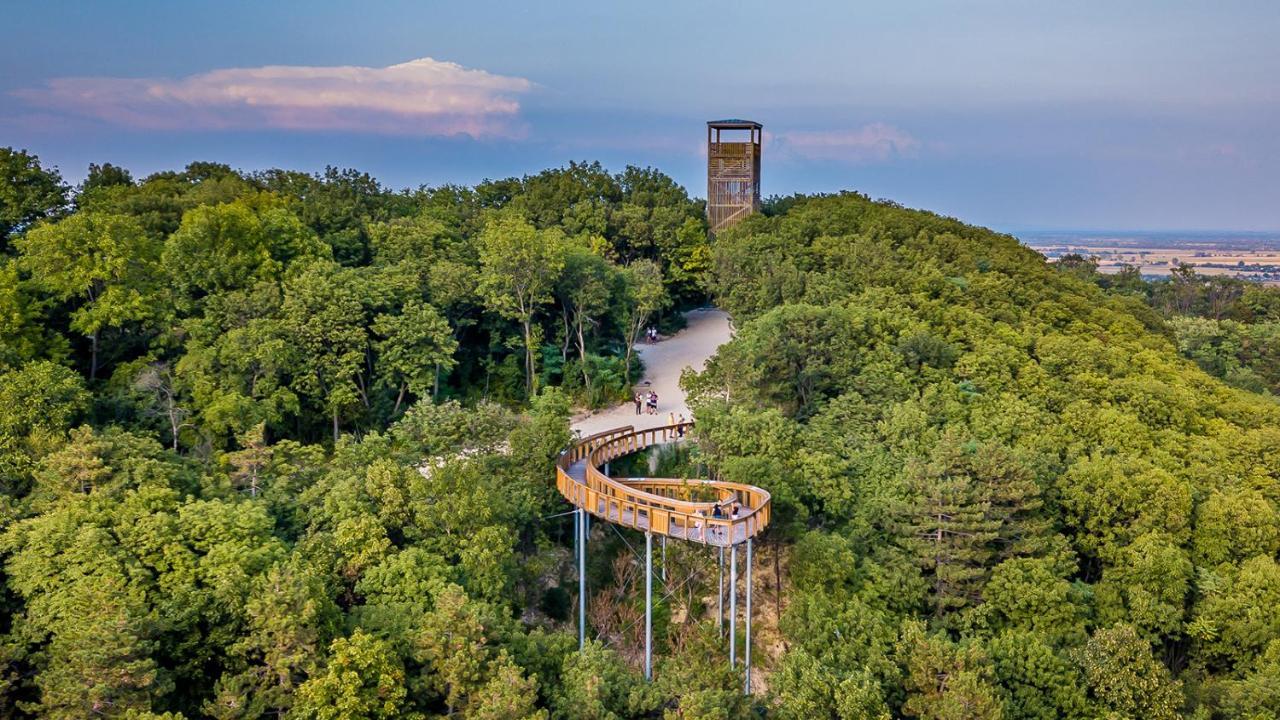 Győrújbarát Panorama Birtok - Wellness Panzio, Konferencia Es Rendezvenykoezpont B&B 외부 사진